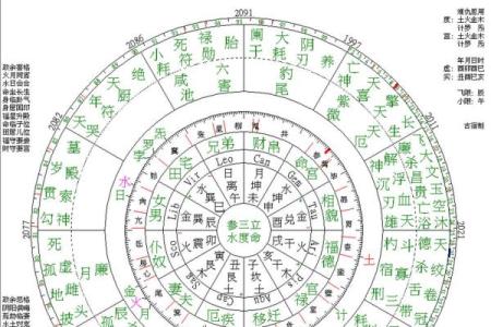 八字纯阴女命理特点 八字阴性女命的独特特征